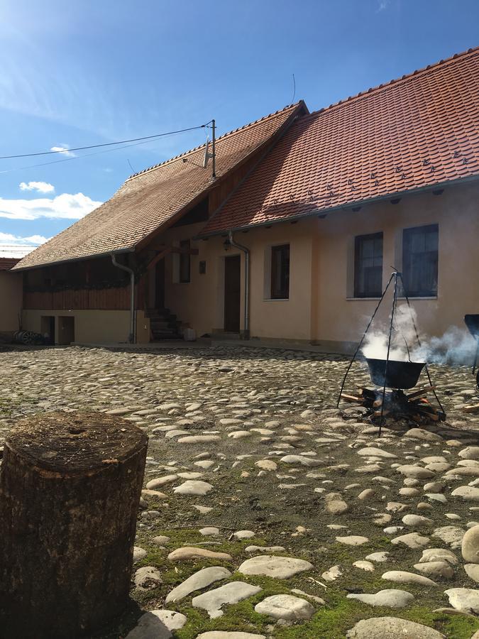 Casa Saseasca Βίλα Saschiz Εξωτερικό φωτογραφία